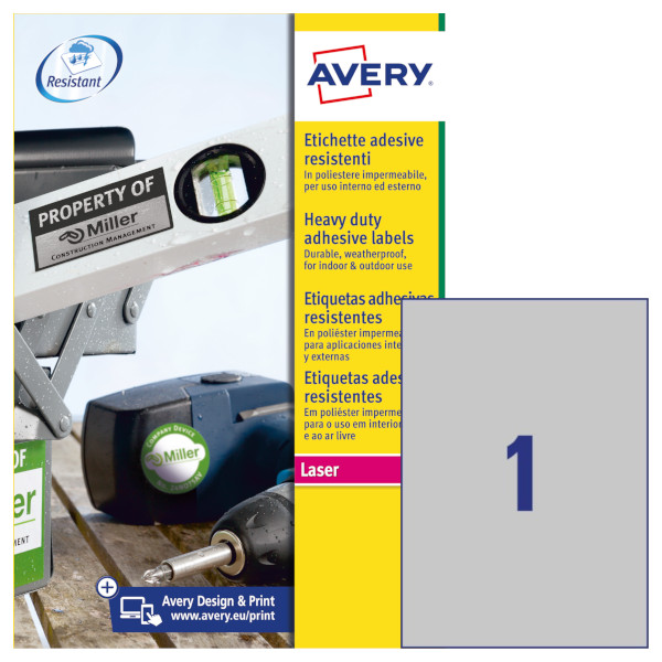 Etichette adesive in poliestere argento Avery L6013-20 vendita online